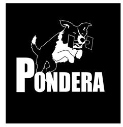 Pondera