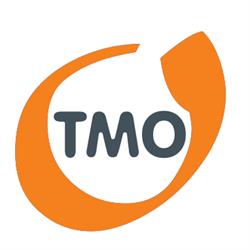 TMO Consulting Oy