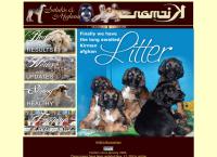 Debra Pomrening-Virtanen Tmi