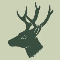 Dama Design