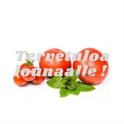 Ae Filete Oy/Myyntimiesten Sauna Ruissalo
