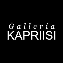 Galleria Kapriisi Oy