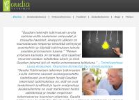 Gaudia Tutkimus Oy