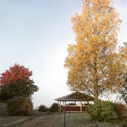 Maatilamatkailu Kumpunen