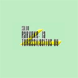 Salon Parveke- ja Terassilasitus Oy