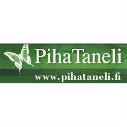 PihaTaneli