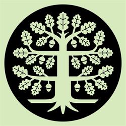 Suomen Kulttuurirahasto