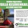 Vaihda maisemaa uusilla kesärenkailla ja elämä maistuu!