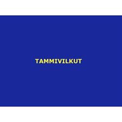 Tammivilkut Oy