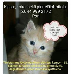 Koira-ja kissahoitola Pori. Tuiskun rakkaat lemmikit.