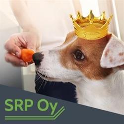 Säkylän Raksapalvelu Oy
