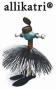 Allikatri