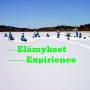 Experience