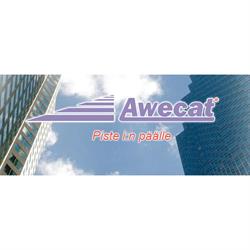 Awecat