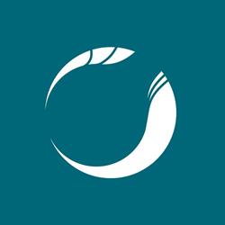 BMH Technology Oy