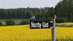 Norrby Gård Ab Oy