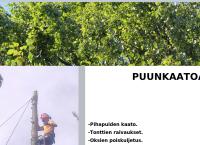 Nettisivu: Helsingin Pihapuu