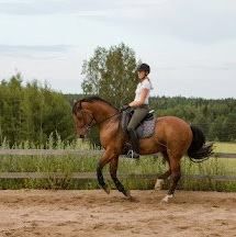 Equidea Oy
