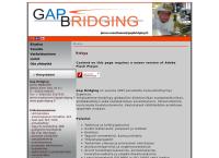 Gap Bridging