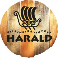 Viikinkiravintola Harald Jyväskylä
