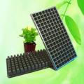 Multi Cell Bedding Plug Plant Seed Tray Huntop Producer China, Seed starter tray, Gro-Pro Humidity Tray with Grid,Cell punnet trays, plastic seed tray