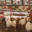 poultry and livestock farm equipment