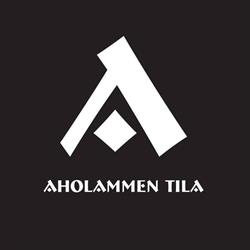 Aholammen tila