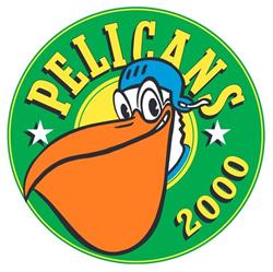 Pelicans 2000 Hollola ry