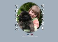 Yestas Kennel