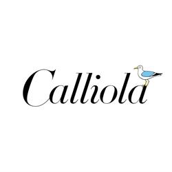Talent Adventure Oy Calliola Koulutuskeskus