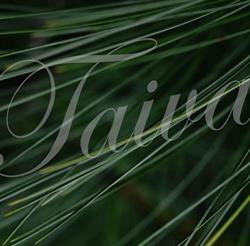 Hyvinvointikeskus 7.Taivas