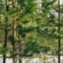 # 9