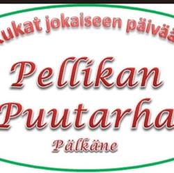 Pellikan puutarha