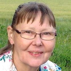 Tmi Heinonen Kaija