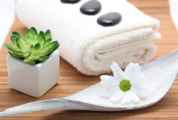 Artemis City Spa