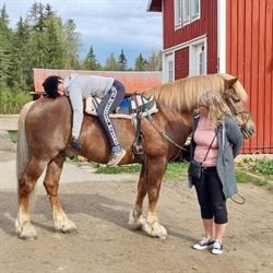 T:mi Taina Mansikkamäki