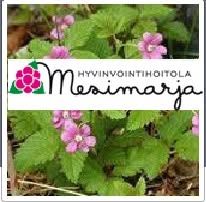 Hyvinvointihoitola Mesimarja