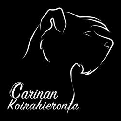 Carinan Koirahieronta