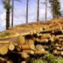 # 1