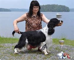 Eläintarvike & Trimmaus