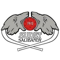 Sudet r.y.