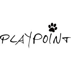 Playpoint Oy