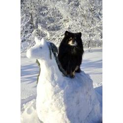 Vanha Vartiamäen tila