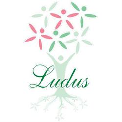 Ludus Oy Tutkimus- ja Kuntoutuspalvelut