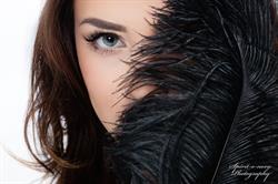 Silk-Studio