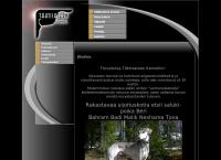 Tähtisateen kennel