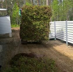 Kivimäki Pasi