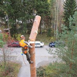 Suomen Puunkaato T:mi