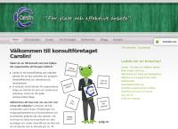 Nettisivu: Ab Carolin Oy