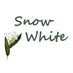 Kauneushoitola Snow White